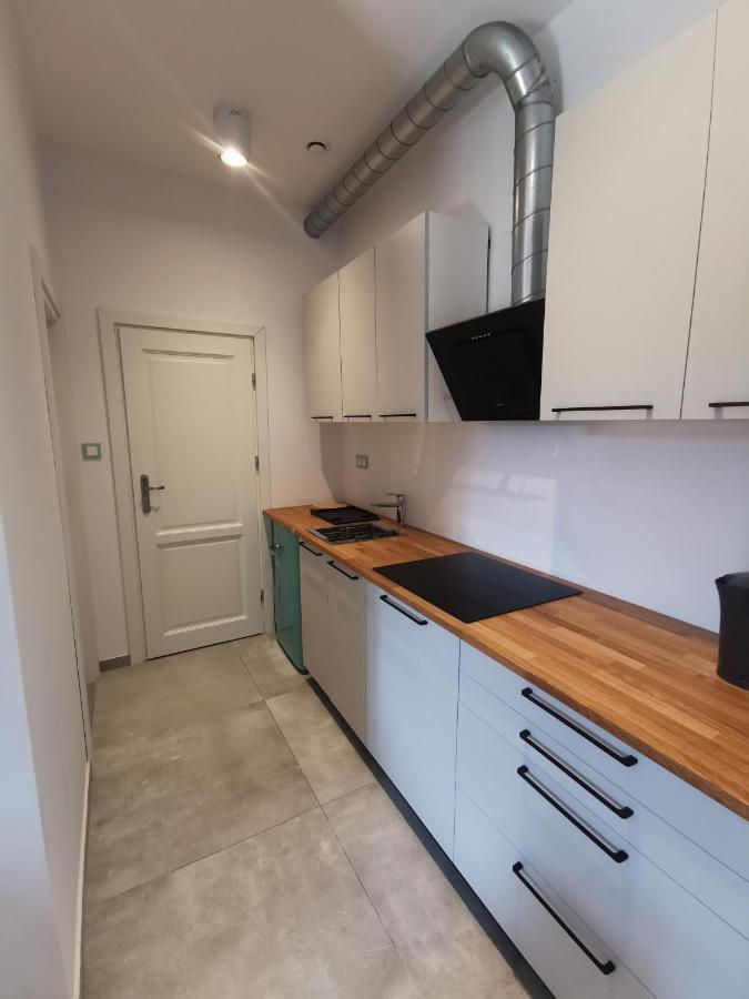 Nowe Apartamenty Zamkowa Vis A Vis Wawelu Krakow Ngoại thất bức ảnh